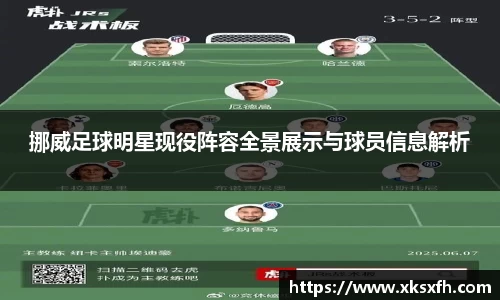 挪威足球明星现役阵容全景展示与球员信息解析